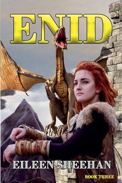 Produktbild: ENID (Book 3)