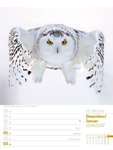 Produktbild: V&ouml;gel Wochenplaner Kalender 2027