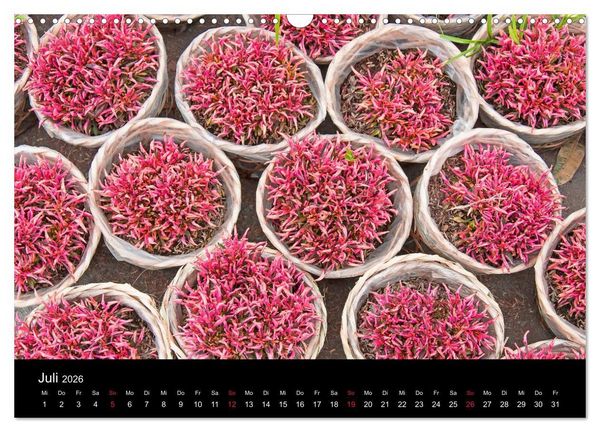 Produktbild: Das Mekong-Delta (Wandkalender 2026 DIN A3 quer), CALVENDO Monatskalender