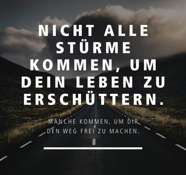 Produktbild: Mutig und stark - Kraftvolle Impulse f&uuml;r alle Wochen des Jahres