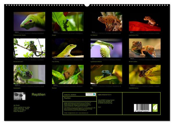 Produktbild: Reptilien (hochwertiger Premium Wandkalender 2026 DIN A2 quer), Kunstdruck in Hochglanz