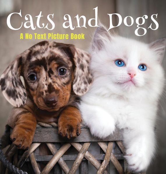 Produktbild: Cats and Dogs, A No Text Picture Book