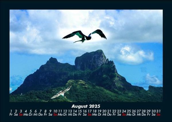 Produktbild: M&ouml;wen 2025 Fotokalender DIN A5