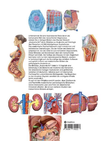 Produktbild: Anatomie-Art