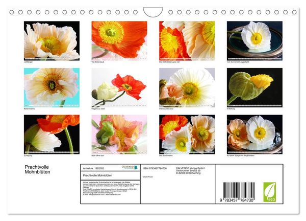 Produktbild: Prachtvolle Mohnbl&uuml;ten (Wandkalender 2026 DIN A4 quer), CALVENDO Monatskalender