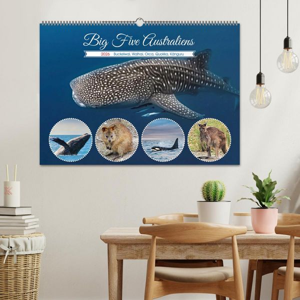 Produktbild: Big Five Australiens Buckelwal, Walhai, Orca, Quokka,K&auml;nguru (Wandkalender 2026 DIN A2 quer), CALVENDO Monatskalender
