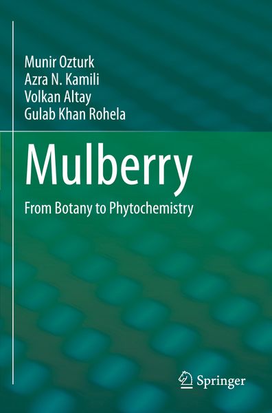 Produktbild: Mulberry