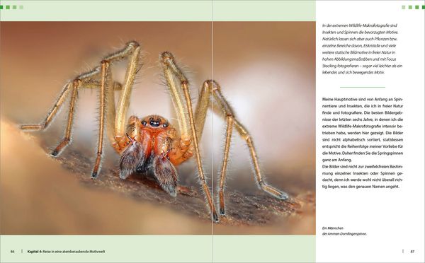 Produktbild: Extreme Wildlife-Makrofotografie
