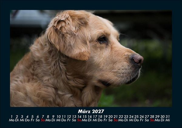 Produktbild: Welt der Tiere 2027 Fotokalender DIN A5