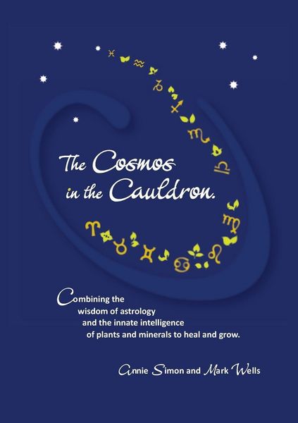 Produktbild: The Cosmos in the Cauldron