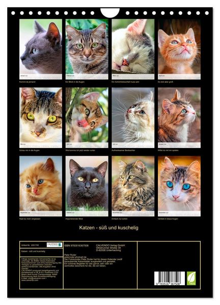 Produktbild: Katzen - s&uuml;&szlig; und kuschelig (Wandkalender 2026 DIN A4 hoch), CALVENDO Monatskalender