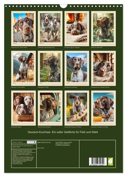 Produktbild: Deutsch-Kurzhaar. Ein edler Gef&auml;hrte f&uuml;r Feld und Wald (Wandkalender 2027 DIN A3 hoch), CALVENDO Monatskalender