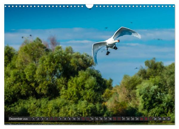 Produktbild: Das Paradies Donaudelta (Wandkalender 2026 DIN A3 quer), CALVENDO Monatskalender
