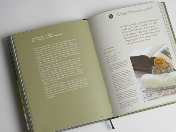 Produktbild: Wildkräuter vor deiner Haustür - Silbermedaille GAD 2022 - Deutscher Kochbuchpreis (bronze)