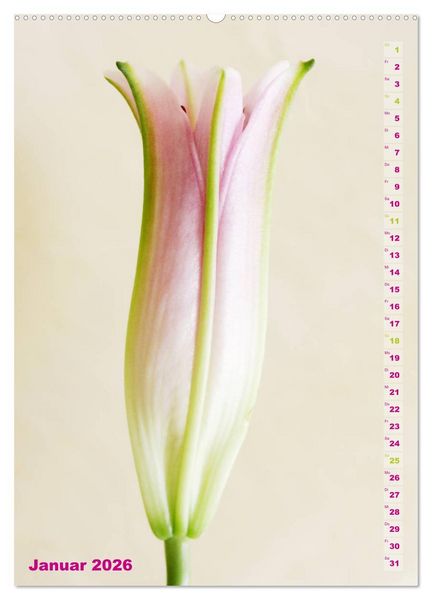 Produktbild: Lilien-Eleganz (hochwertiger Premium Wandkalender 2026 DIN A2 hoch), Kunstdruck in Hochglanz