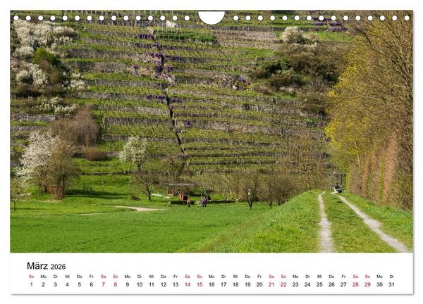 Produktbild: Wege in der Natur - Kraichgau und Enzkreis (Wandkalender 2026 DIN A4 quer), CALVENDO Monatskalender