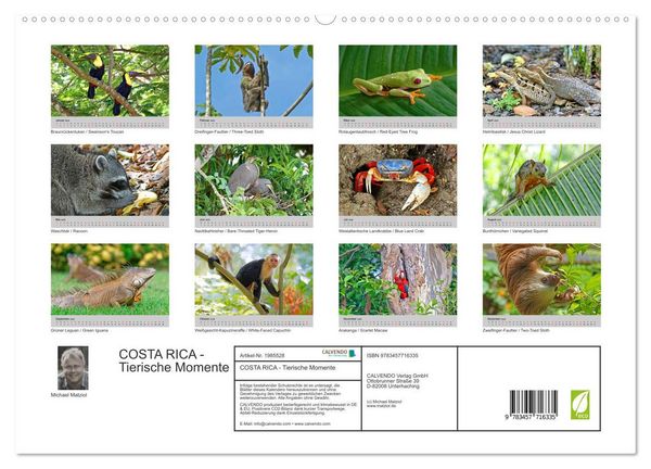 Produktbild: COSTA RICA - Tierische Momente (hochwertiger Premium Wandkalender 2026 DIN A2 quer), Kunstdruck in Hochglanz