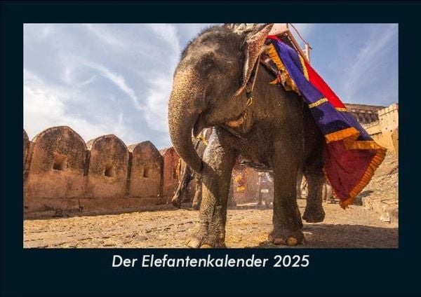 Produktbild: Der Elefantenkalender 2025 Fotokalender DIN A5