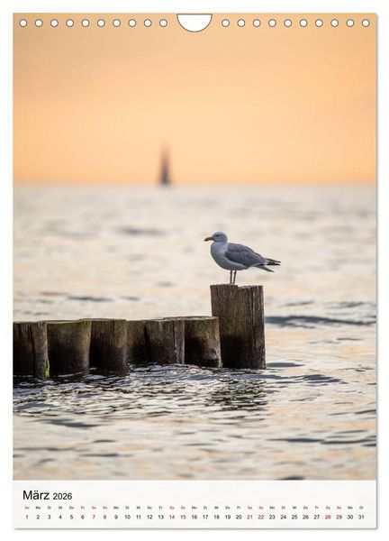 Produktbild: Fischland-Dar&szlig;-Zingst - Im Licht des Nordens (Wandkalender 2026 DIN A4 hoch), CALVENDO Monatskalender