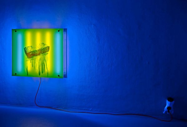 Produktbild: Rolf Walz. Blind Spot Bias