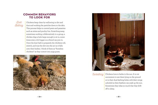 Produktbild: How to Speak Chicken