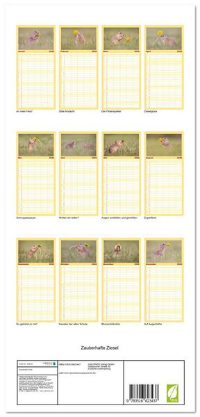 Produktbild: Familienplaner 2026 - Zauberhafte Ziesel mit 5 Spalten (Wandkalender, 21 x 45 cm) CALVENDO