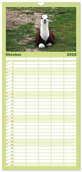 Produktbild: Familienplaner 2026 - Lama-Kalender mit 5 Spalten (Wandkalender, 21 x 45 cm) CALVENDO