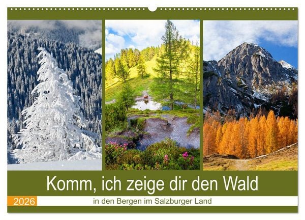 Produktbild: Komm, ich zeige dir den Wald (Wandkalender 2026 DIN A2 quer), CALVENDO Monatskalender