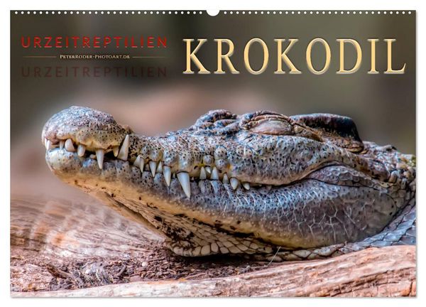 Produktbild: Urzeitreptilien - Krokodil (Wandkalender 2026 DIN A2 quer), CALVENDO Monatskalender