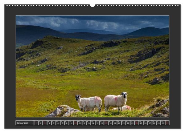 Produktbild: IRLAND - Insel der gl&uuml;cklichen Schafe (Wandkalender 2027 DIN A2 quer), CALVENDO Monatskalender