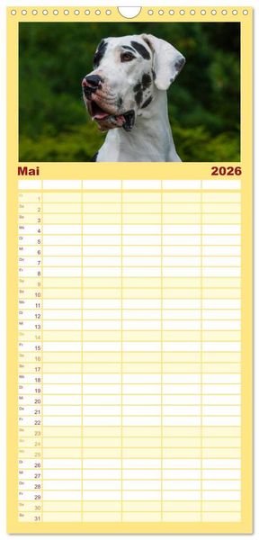 Produktbild: Familienplaner 2026 - Deutsche Dogge mit 5 Spalten (Wandkalender, 21 x 45 cm) CALVENDO