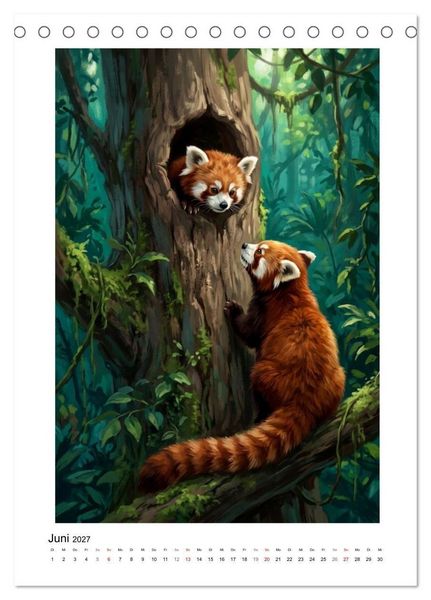 Produktbild: Rote Pandas &ndash; Pure Lebensfreude auf leisen Sohlen (Tischkalender 2027 DIN A5 hoch), CALVENDO Monatskalender