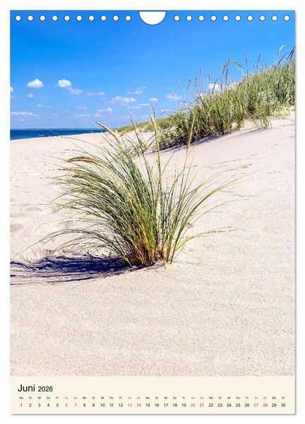 Produktbild: INSEL SYLT, Berauschende Nat&uuml;rlichkeit (Wandkalender 2026 DIN A4 hoch), CALVENDO Monatskalender
