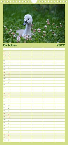 Produktbild: Familienplaner Die lieben Kleinen ... Tierkinder einfach zum Knuddeln (Wandkalender 2022 , 21 cm x 45 cm, hoch)