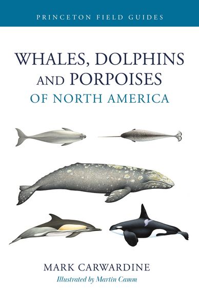Produktbild: Whales, Dolphins, and Porpoises of North America