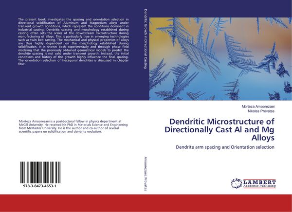 Produktbild: Dendritic Microstructure of Directionally Cast Al and Mg Alloys