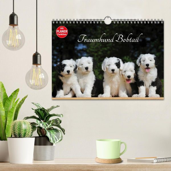 Produktbild: Traumhund Bobtail (Wandkalender 2026 DIN A4 quer), CALVENDO Monatskalender