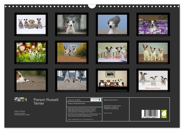 Produktbild: Parson Russell Terrier (Wandkalender 2026 DIN A3 quer), CALVENDO Monatskalender