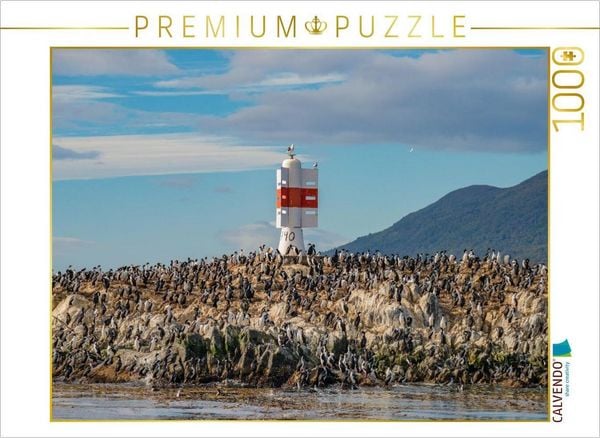 CALVENDO Puzzle Patagonien, Tierra del Fuego: König Kormorane im Beagle-Kanal | 1000 Teile Lege-Größe 64x48cm Foto-Puzzle für glückliche Stunden