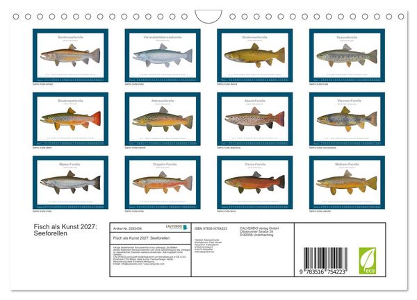 Produktbild: Fisch als Kunst 2027: Seeforellen (Wandkalender 2027 DIN A4 quer), CALVENDO Monatskalender