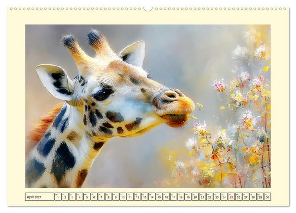 Produktbild: Giraffen. Anmut in weiter Landschaft (Wandkalender 2027 DIN A2 quer), CALVENDO Monatskalender
