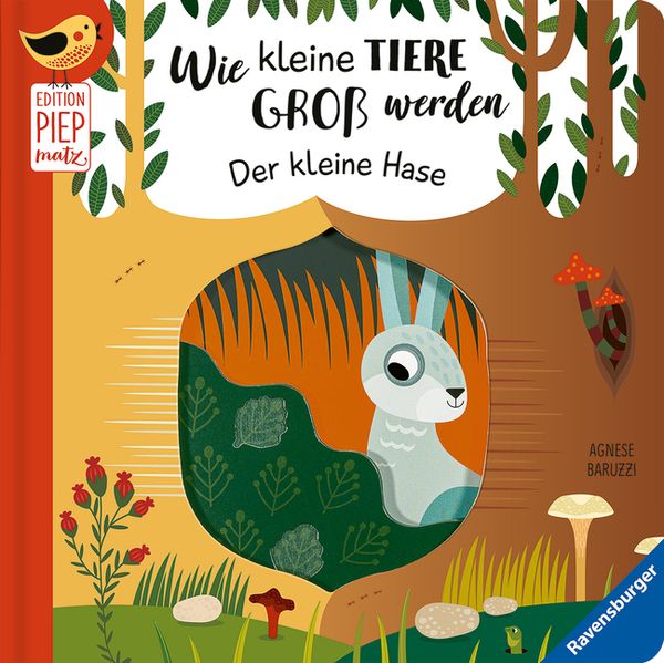 Wie kleine Tiere groß werden: Der kleine Hase