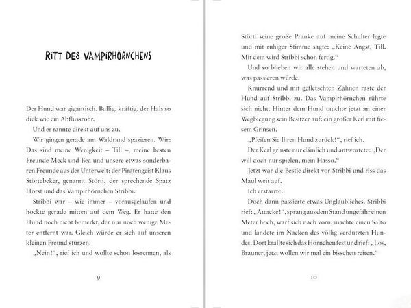 Produktbild: Schlenz, K: Geister-Gang 02: Jagd &uuml;ber das Teufelsmeer.