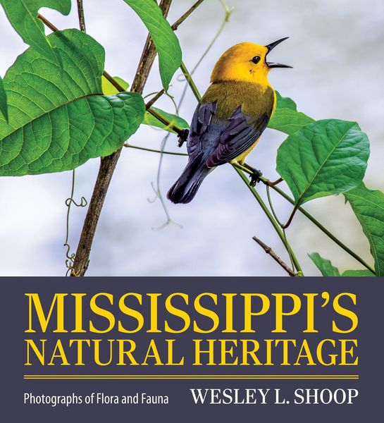 Produktbild: Mississippi's Natural Heritage