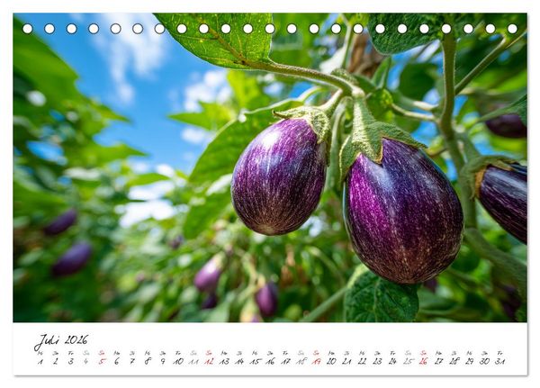 Produktbild: Gem&uuml;segarten - Gem&uuml;se aus dem eigenen Garten (Tischkalender 2026 DIN A5 quer), CALVENDO Monatskalender