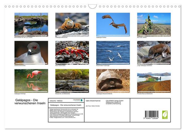 Produktbild: Gal&aacute;pagos - Die verwunschenen Inseln (Wandkalender 2026 DIN A3 quer), CALVENDO Monatskalender