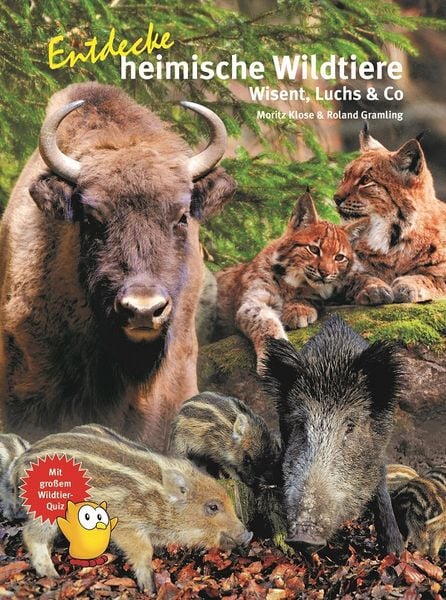 Produktbild: Entdecke heimische Wildtiere