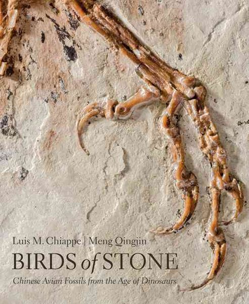 Produktbild: Birds of Stone