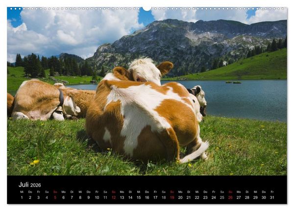 Produktbild: BERNER ALPEN - Natur und Landschaften (Wandkalender 2026 DIN A2 quer), CALVENDO Monatskalender
