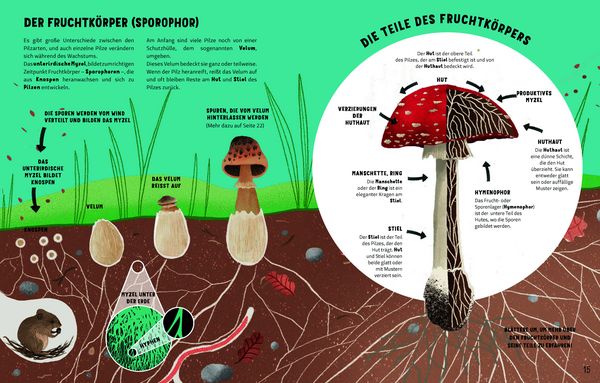 Produktbild: Die Geheimnisse der Pilze